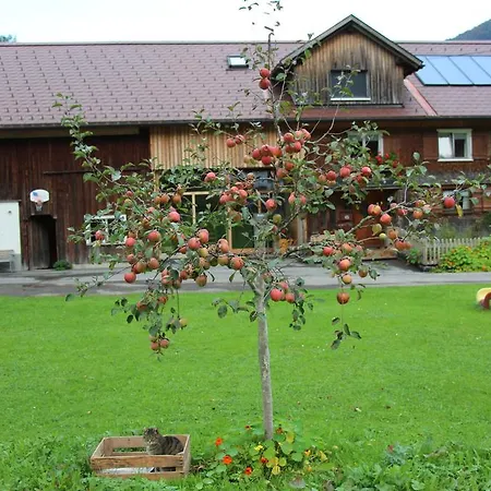 Apartmán Vogt Mellau