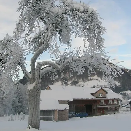 Vogt Mellau