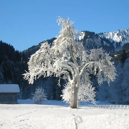 Vogt Mellau