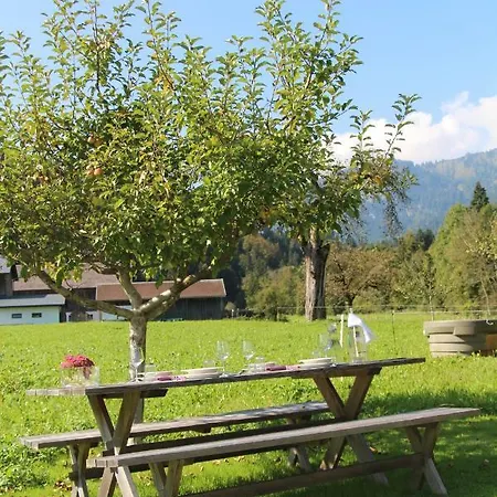 Vogt Mellau